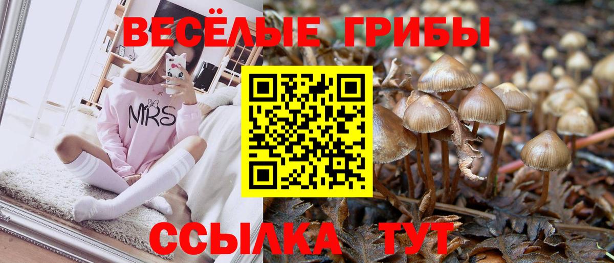 Псилоцибиновые грибы мухоморы Губкин
