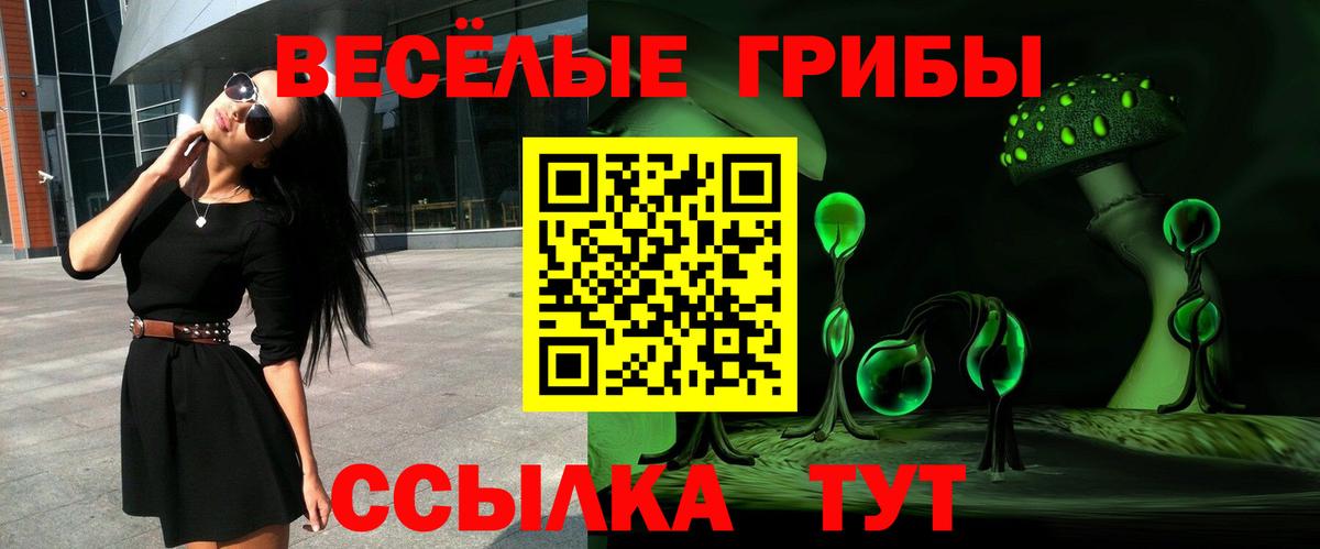 купить наркотик  Галлюциногенные грибы мухоморы  Вход с VPN  Губкин 