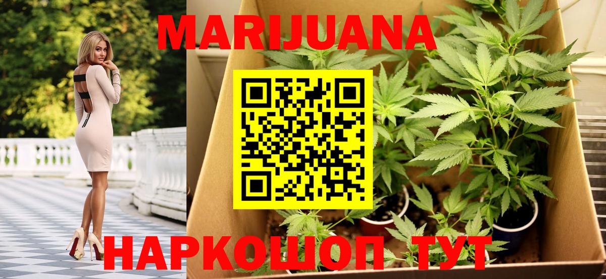 Бошки Шишки семена  Вход с VPN  Губкин  Бошки Шишки THC 21%  МАРИХУАНА VHQ  Шишки марихуана план 